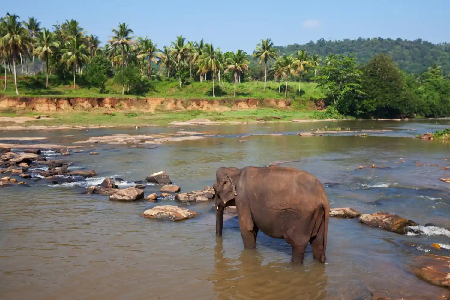 Yala National Park, Sri Lanka (3 Nights / 4 Days)
